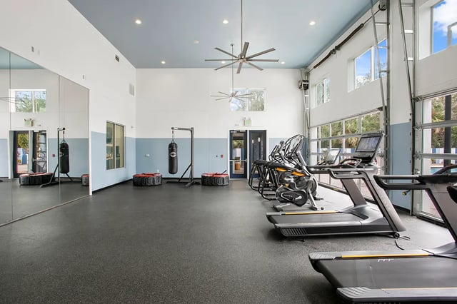 Treadmills ellipticals punching bags gym area at Venue at North Campus in Tampa Student Accommodation