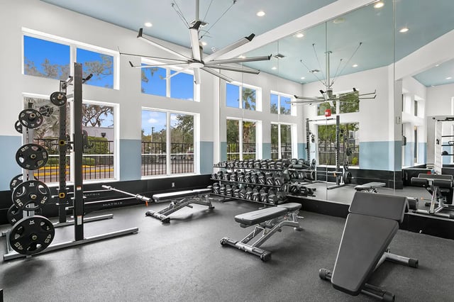 Dumbbell racks weights benches mirrors fitness area at Venue at North Campus in Tampa Student Accommodation