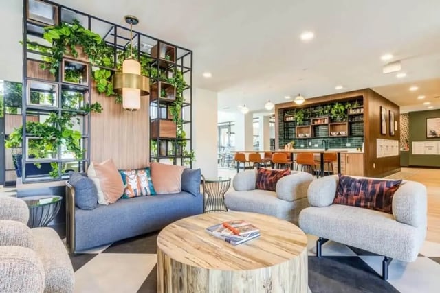 Sofa chairs coffee table plant wall living room at Signature Hartwell Village in Seneca Student Accommodation