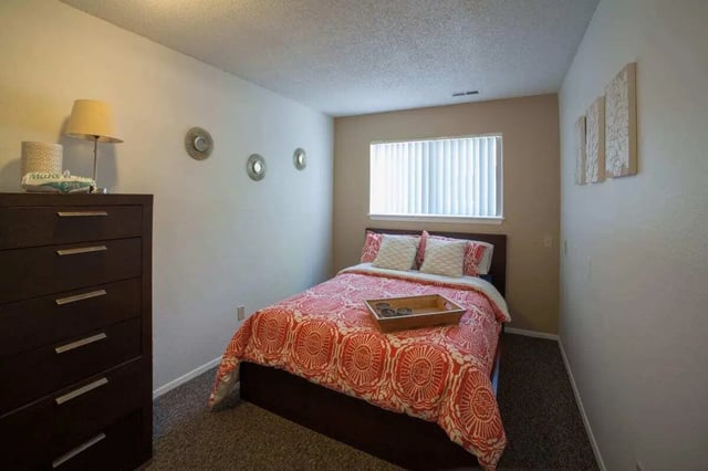 Dark dresser bed with patterned bedding window bedroom at Hawks Pointe in Lawrence Student Accommodation