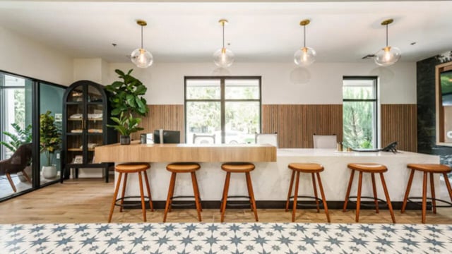 Bar stools at counter with plants and cabinet reception area at The Vista Apartments in Boise Student Accommodation