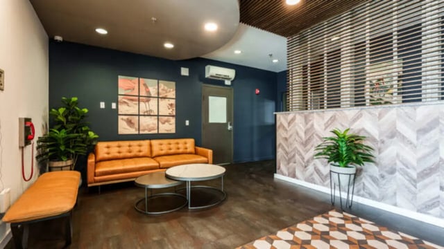 Sofa plant and artwork in communal living room at The Vista Apartments in Boise Student Accommodation