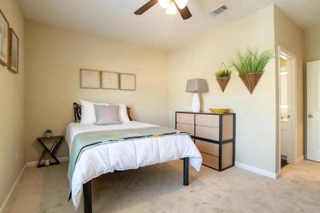 Bed dresser plants and artwork bedroom at The Collective At Clemson in Clemson Student Accommodation