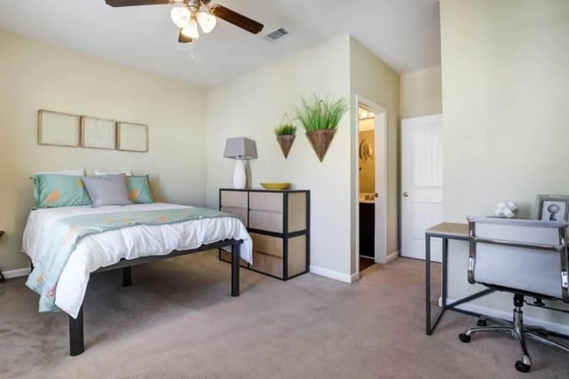 Bed dresser desk and door bedroom at The Collective At Clemson in Clemson Student Accommodation