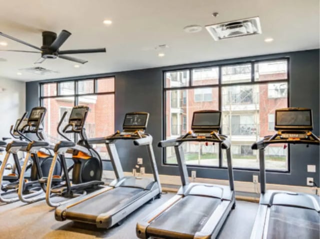 Treadmills and ellipticals in a gym. at Wertland Square in Charlottesville Student Accommodation