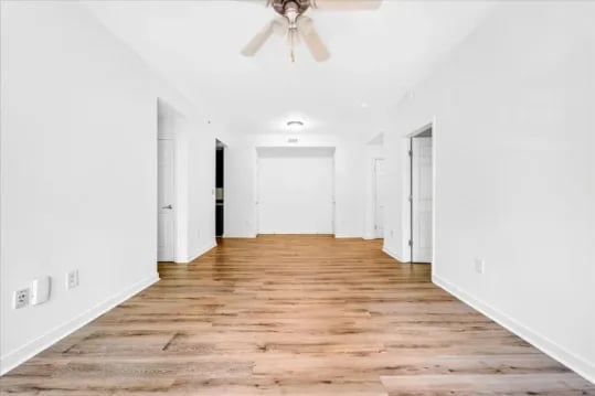White walls wood floor and ceiling fan living room at Wertland Square in Charlottesville Student Accommodation
