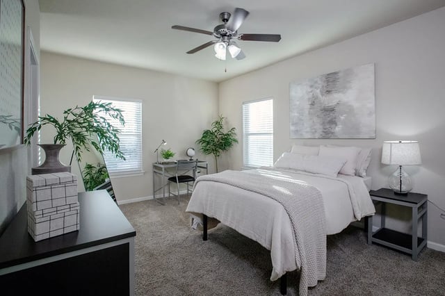 Bed desk plants and painting Bedroom at The Collective at Columbia in Columbia Student Accommodation