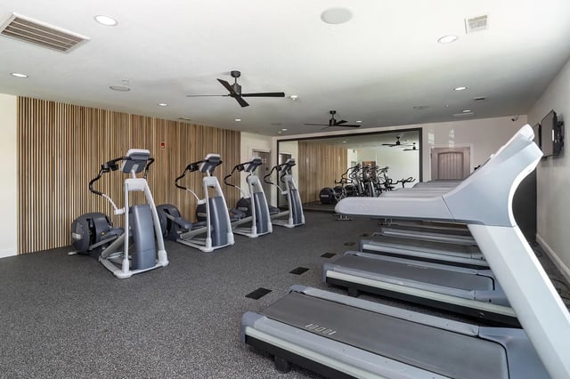 Elliptical machines and treadmills gym equipment at The Collective at Columbia in Columbia Student Accommodation