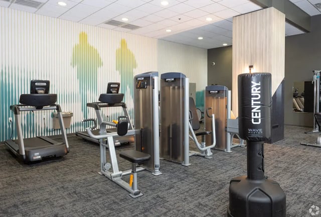 Gym equipment treadmills weight machines punching bag fitness area at SoCam 290 Apartments in New Brunswick Student Accommodation