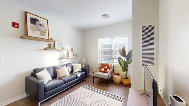 Black sofa armchair plant basket with blanket living room at The Hill at Rochester in Rochester Student Accommodation