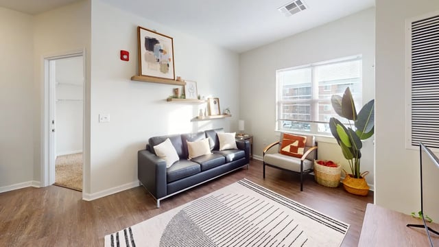 Black couch, armchair, plant, rug living room at The Hill at Rochester in Rochester Student Accommodation
