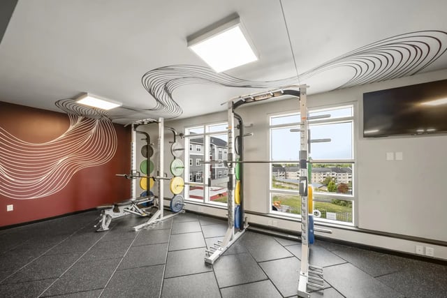 Weight racks bench and barbell gym at The Hill at Rochester in Rochester Student Accommodation