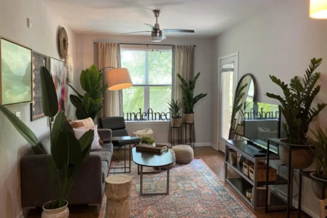 Sofa plants coffee table and rug living room at The Pavilion at North Grounds Apartments in Charlottesville Student Accommodation
