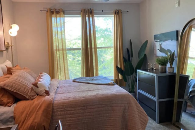 Bed dresser plants and mirror bedroom at The Pavilion at North Grounds Apartments in Charlottesville Student Accommodation