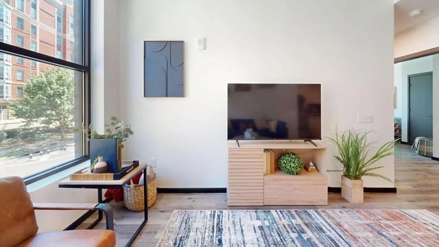 Television plants and artwork living room at The Hive in Atlanta Student Accommodation