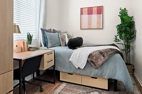Desk bed plant artwork bedroom at Nine 31 Apartments in Gainesville Student Accommodation