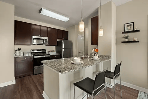Modern kitchen with granite island and appliances kitchen at Station at Five Points in Columbia Student Accommodation