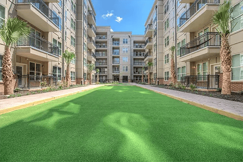 Courtyard with palm trees and apartment buildings exterior at Station at Five Points in Columbia Student Accommodation