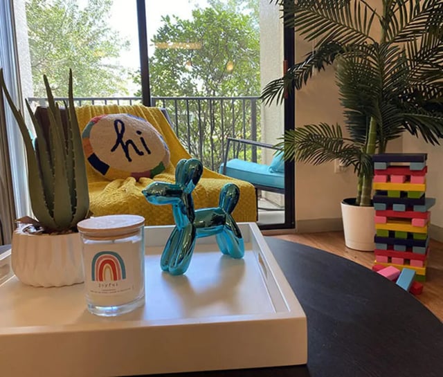 Chair aloe candle balloon dog blocks living room at Lark Central Florida in Orlando Student Accommodation
