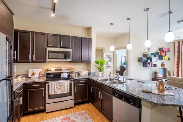 Modern kitchen with dark cabinets stainless appliances kitchen at Northpoint Crossing in College Station Student Accommodation