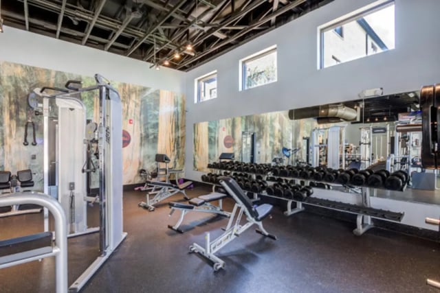 Gym equipment weight racks and mirrors fitness area at Lark Oxford in Oxford Student Accommodation