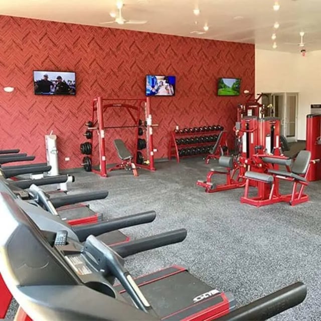 Treadmills weight racks machines TVs gym area at Lark in the Woods in Tuscaloosa Student Accommodation