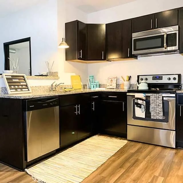 Dark cabinets microwave dishwasher stove kitchen at Lark on 14th in Milwaukee Student Accommodation