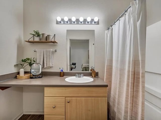 Sink mirror plants towels shower curtain bathroom at Aggie Station in Bryan Student Accommodation