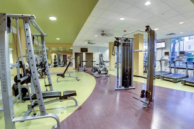 Gym equipment with treadmills exercise bikes and weight machines gym at The View on 10th in Waco Student Accommodation