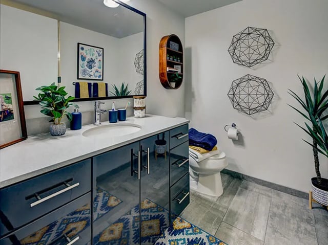 Sink vanity mirror plant artwork toilet towels bathroom at Campus Edge Ann Arbor in Ann Arbor Student Accommodation
