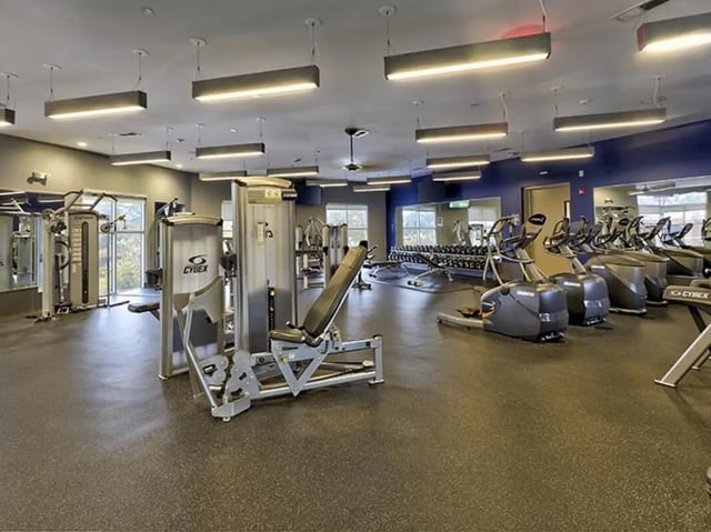Gym equipment weight racks and cardio machines Fitness room at 160 Ross in Auburn Student Accommodation