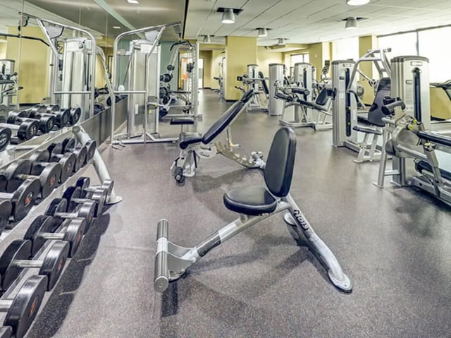 Dumbbells and weight machines in a gym at 8 1/2 Canal Street in Richmond Student Accommodation