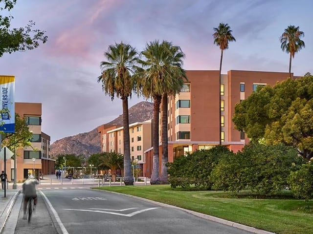 Student housing buildings palm trees and mountains exterior at North District in Riverside Student Accommodation