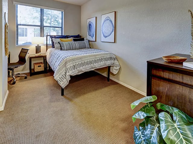 Bed desk and artwork in student bedroom at Hilltop Townhomes in Flagstaff Student Accommodation
