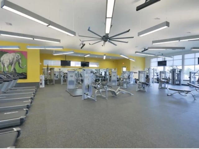 Gym with treadmills and weight machines Image at Honors Academic Village in Toledo Student Accommodation