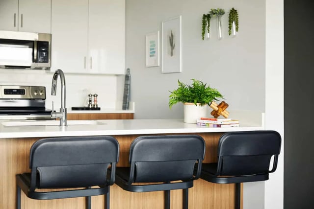 Kitchen island with black stools and plant decor Kitchen at Seven07 in Champaign Student Accommodation