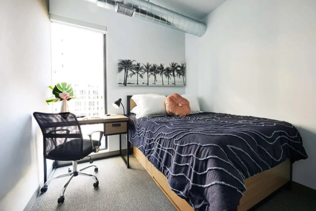 Bed desk chair palm tree art bedroom at Seven07 in Champaign Student Accommodation