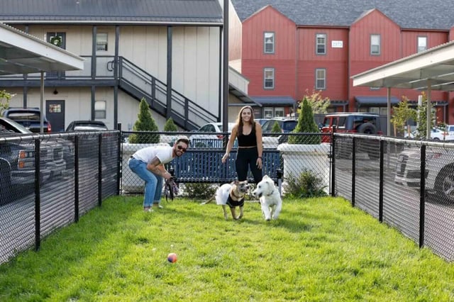 Dogs and people play in a fenced yard exterior at The Arrow Townhomes & Flats in Bozeman Student Accommodation