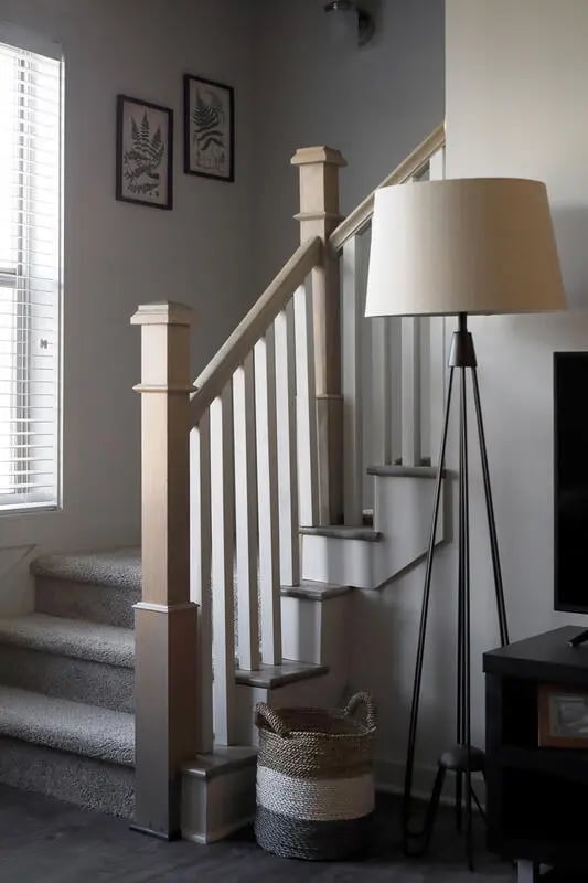 Carpeted stairs with two framed ferns and basket living room at The Arrow Townhomes & Flats in Bozeman Student Accommodation