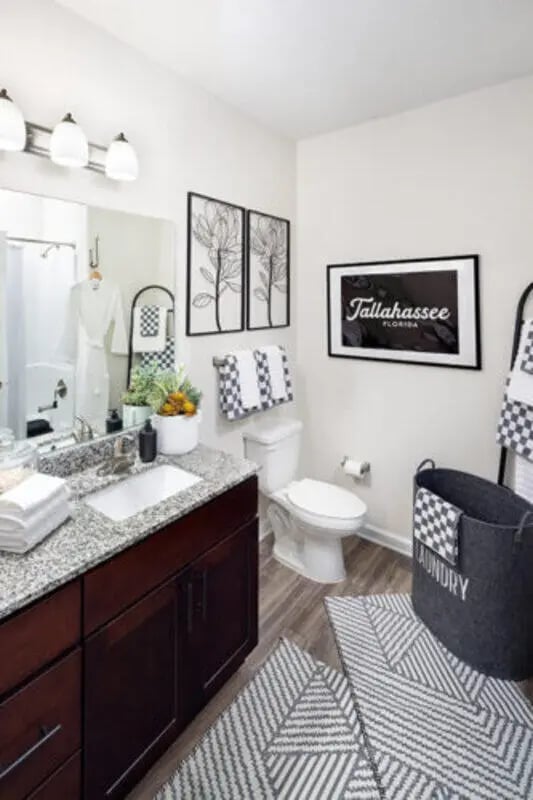 Vanity toilet towels artwork laundry basket bathroom at Stadium Enclave in Tallahassee Student Accommodation