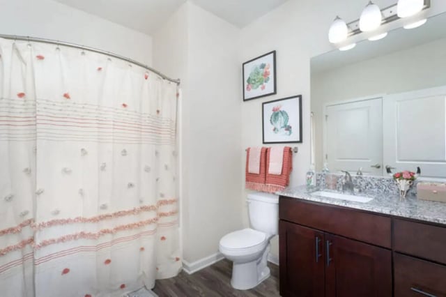 Toilet vanity shower curtain art and sink bathroom at Stadium Enclave in Tallahassee Student Accommodation