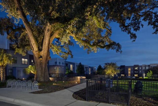 Large tree bike racks buildings exterior at Stadium Enclave in Tallahassee Student Accommodation