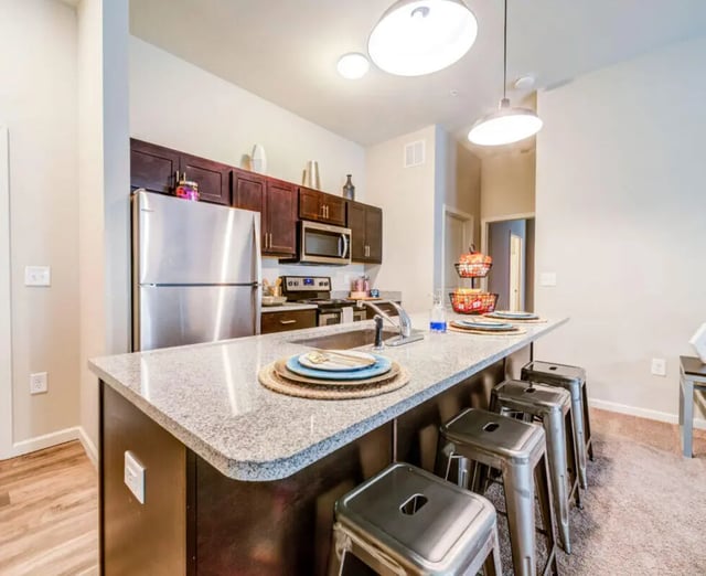 Stainless steel refrigerator dark cabinets kitchen island kitchen at University Edge and Dickinson Lofts in Greenville Student Accommodation