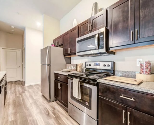 Stainless steel appliances dark wood cabinets kitchen at University Edge and Dickinson Lofts in Greenville Student Accommodation
