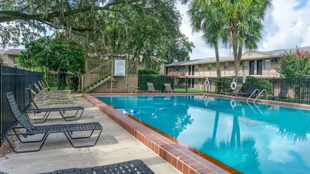 Pool with lounge chairs and palm trees exterior at Apartments In Gainesville FL in Gainesville Student Accommodation