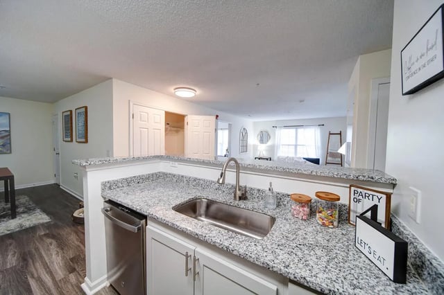 Granite countertop sink dishwasher cabinets decor kitchen at The Everson in Cullowhee Student Accommodation