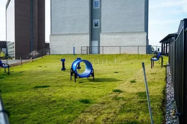 Dog agility equipment blue tunnel and benches play area at The Pointe at Pinhook in Lafayette Student Accommodation
