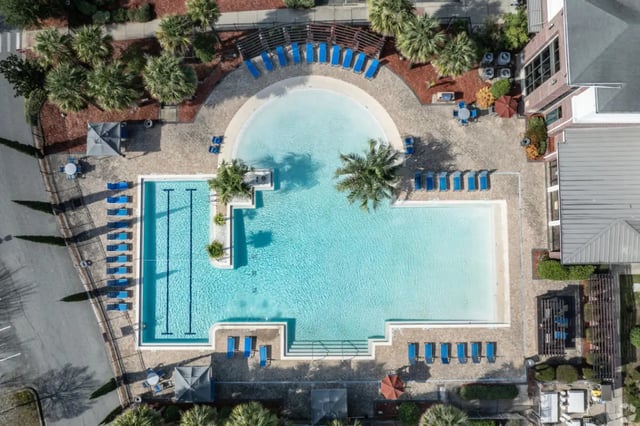 Swimming pool with lounge chairs and palm trees exterior at Forum at Tallahassee in Tallahassee Student Accommodation