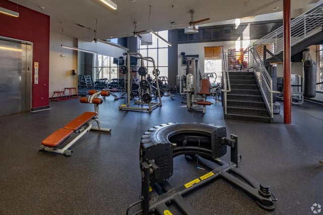 Weight machines benches and tire gym gym at Forum at Tallahassee in Tallahassee Student Accommodation