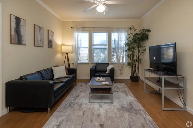 Black couch coffee table plant TV living room at Forum at Tallahassee in Tallahassee Student Accommodation
